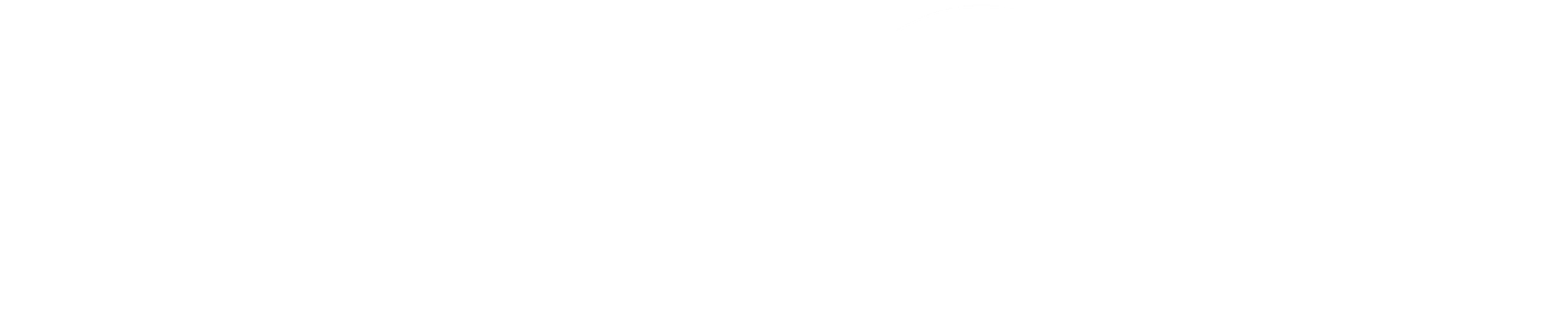 logo metrosat